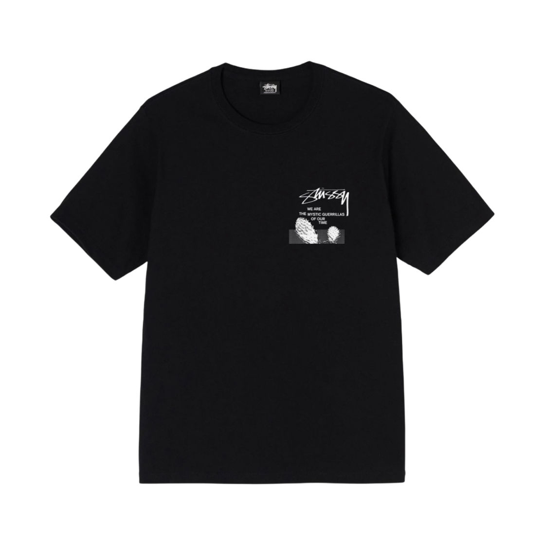 스투시 데저트 스카이 티셔츠 블랙(Stussy Desert Sky T-Shirt Black) - 2