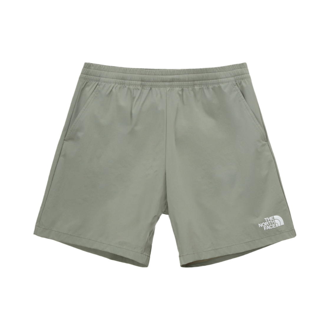 노스페이스 화이트 라벨 아이스 런 카고 쇼츠 그레이 | The