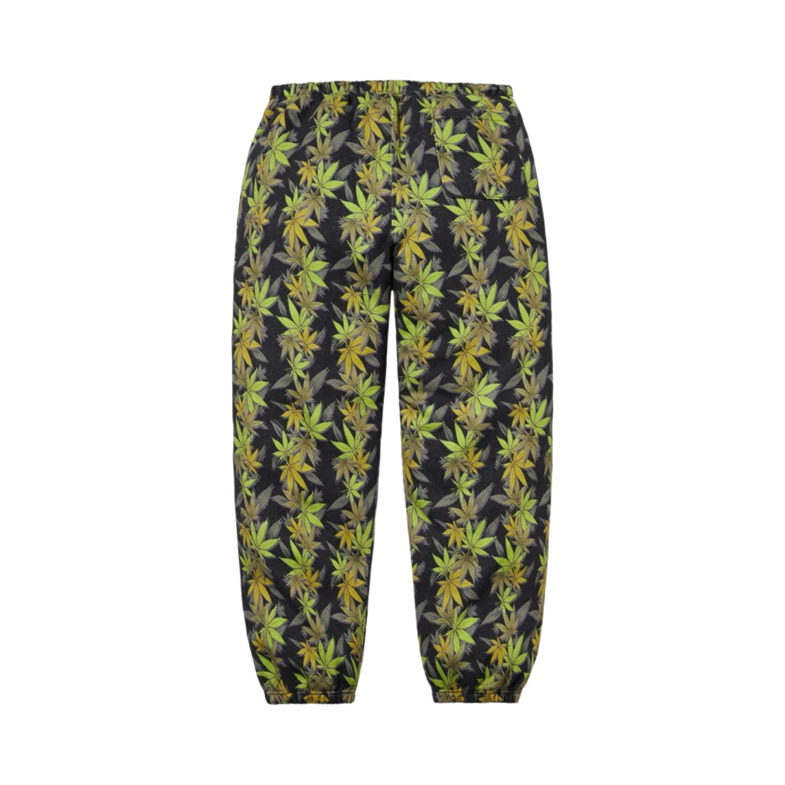 슈프림 x 노스페이스 리프 스웨트팬츠 블랙 - 23FW(Supreme x The North Face Leaf Sweatpant Black - 23FW) - 2