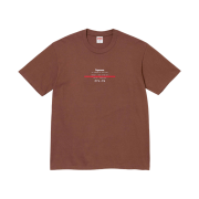 Supreme Standard T-Shirt Brown - 24SS
