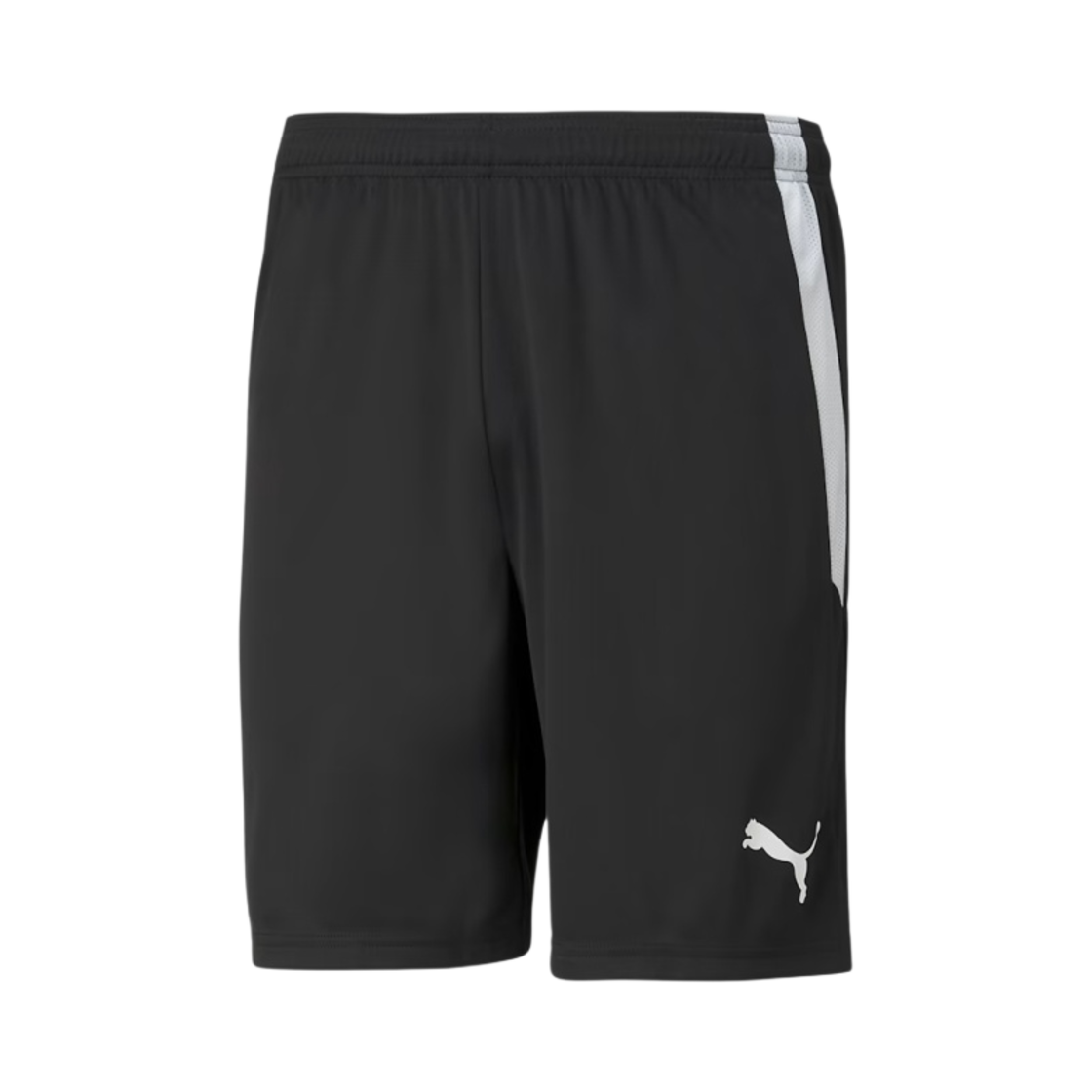 푸마 팀 리가 쇼츠 블랙 화이트(Puma Team Liga Shorts Black White) - 1