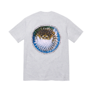 Supreme Blowfish T-Shirt Ash Grey - 23SS