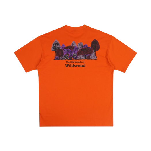 Nike ACG Wildwood T-Shirt Summit Campfire Orange - Asia