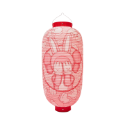 Kaws Accomplice Lantern Edition of 300