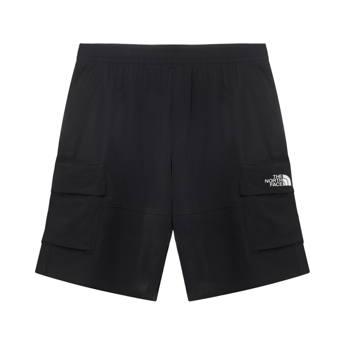 NS6NR05J The North Face White Label Ice Run Cargo Shorts Black
