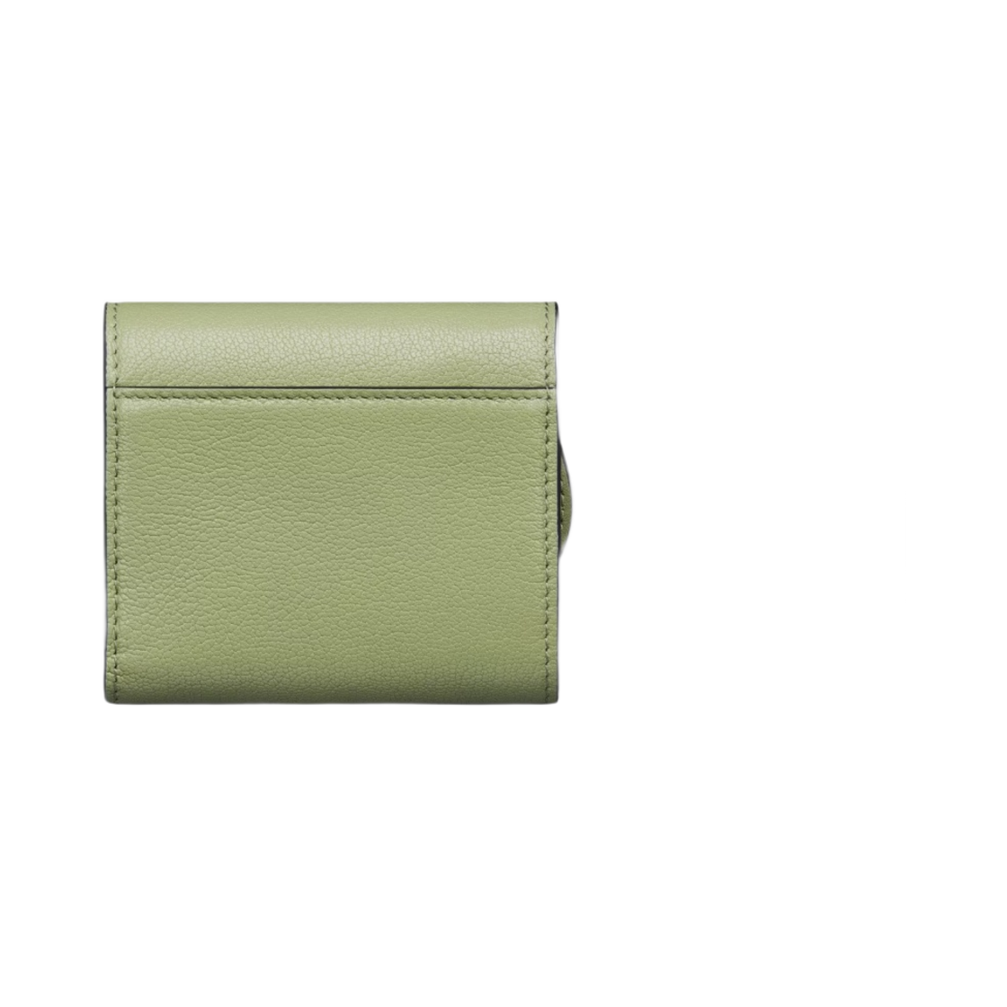디올 새들 로터스 지갑 고트스킨 이터리얼 그린(Dior Saddle Lotus Wallet Goatskin Ethereal Green) - 4