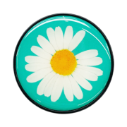 Peaceminusone Phone Pop Up Grip #1 Mint