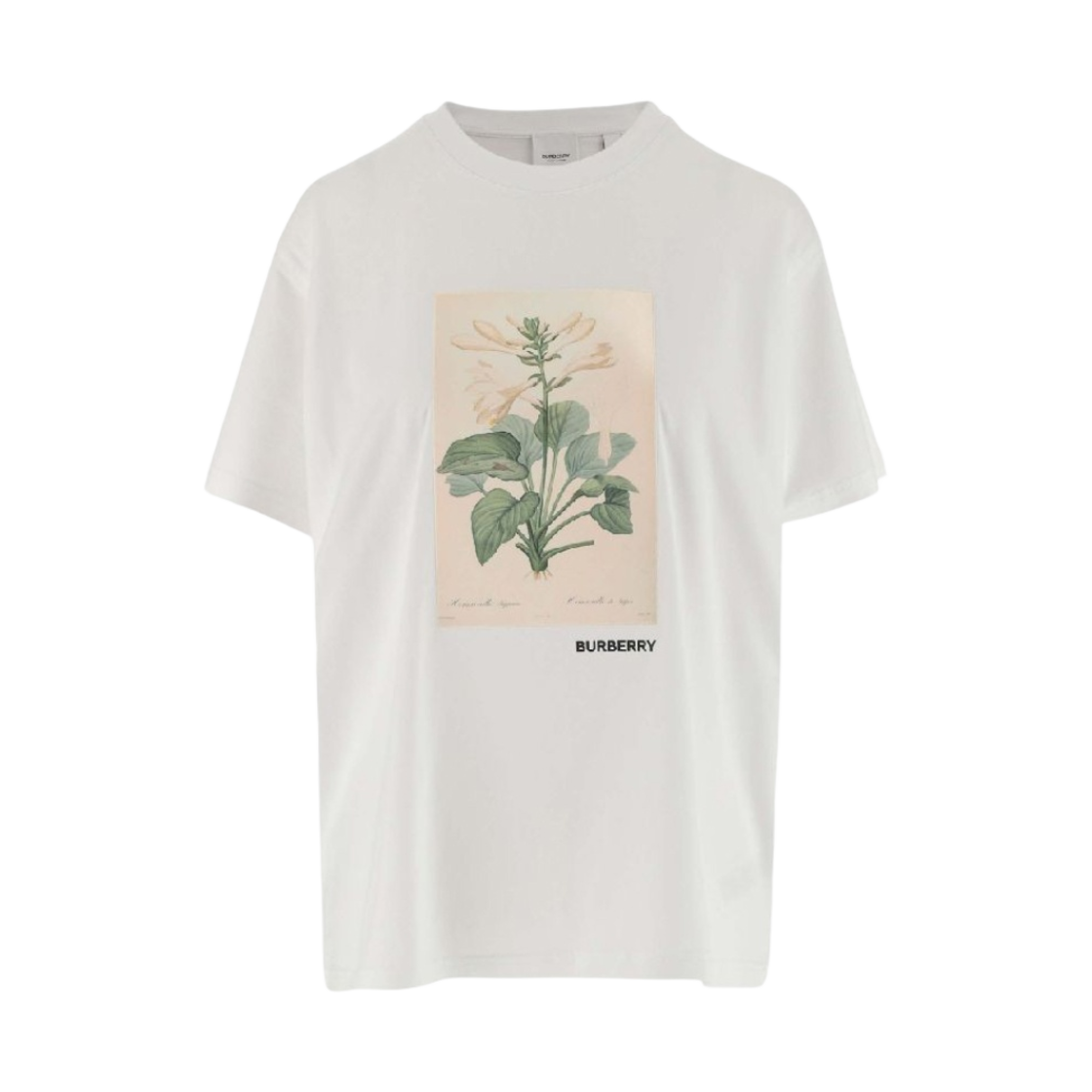 (W) 버버리 보타니컬 스케치 프린트 코튼 오버사이즈 티셔츠 화이트((W) Burberry Botanical Sketch Print Cotton Oversized T-Shirt White) - 1