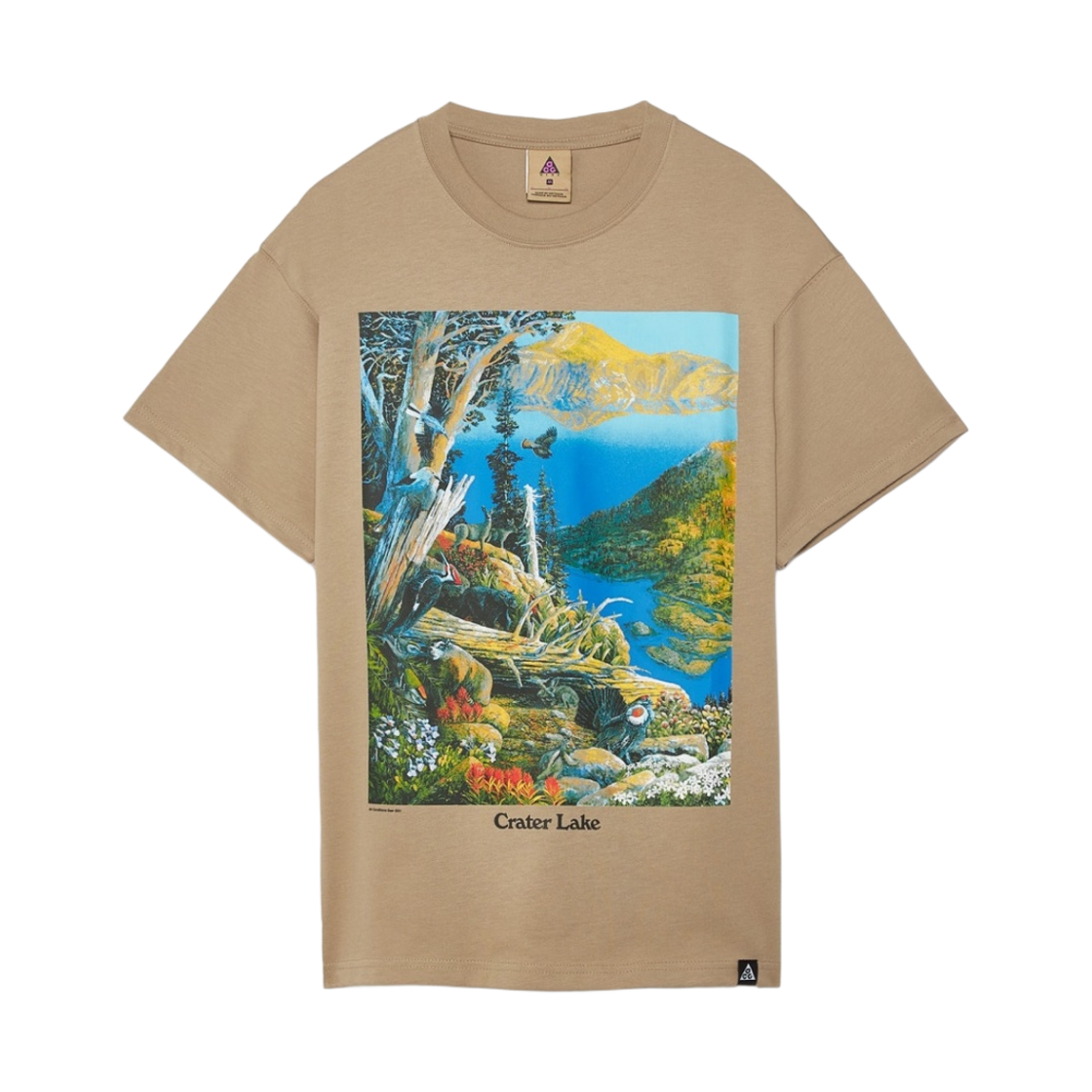 나이키 NRG 숏슬리브 그레이터 레이크 티셔츠 카키 - 아시아