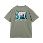 Nike ACG Dri-Fit T-Shirt Dark Stucco - Asia