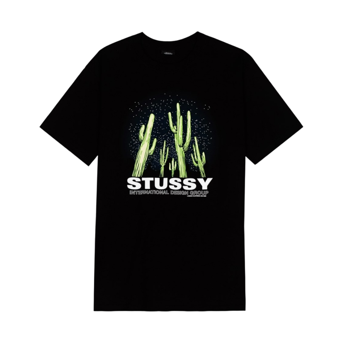 스투시 사와로 티셔츠 블랙(Stussy Saguaro T-Shirt Black) - 1