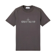 Stone Island 2100020 Organic Cotton Jersey Slim-Fit T-Shirt with Institutional Two Print Charcoal Grey - 25SS