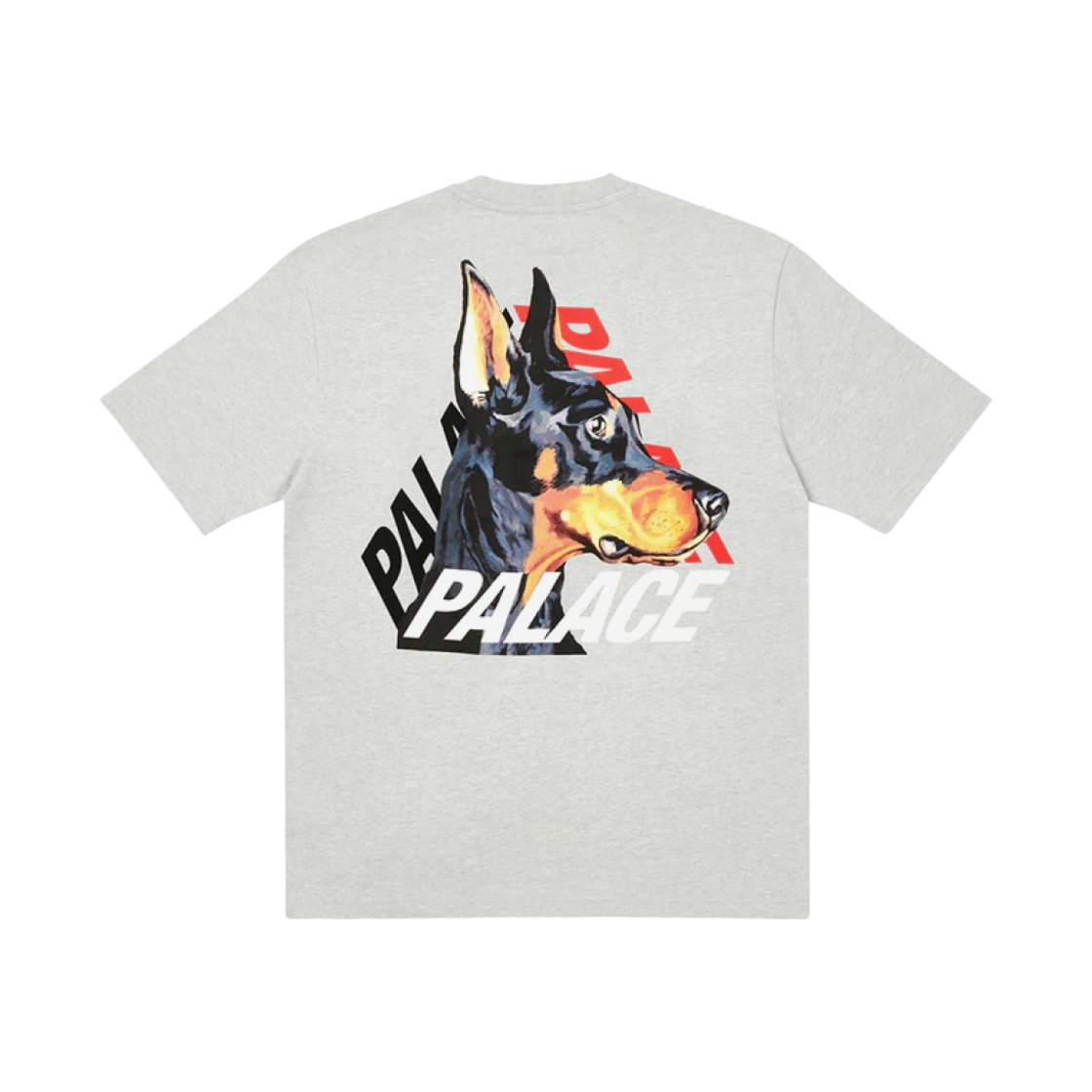 팔라스 P-3-K-9 티셔츠 그레이 말 - 22SS