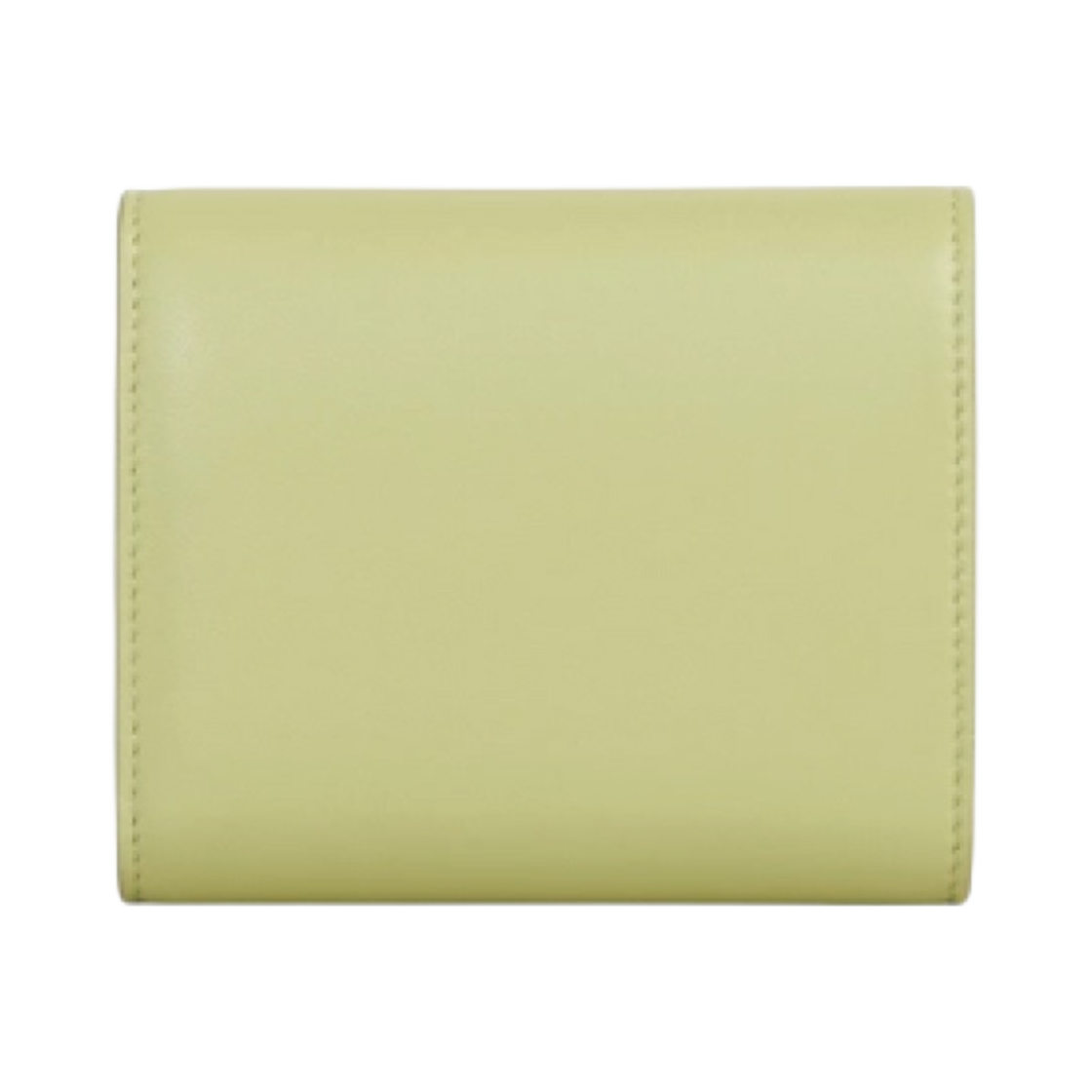 셀린느 샤이니 카프스킨 트리옹프 스몰 플랩 지갑 라이트 제이드(Celine Triomphe Small Flap Wallet in Shiny Calfskin Light Jade) - 3