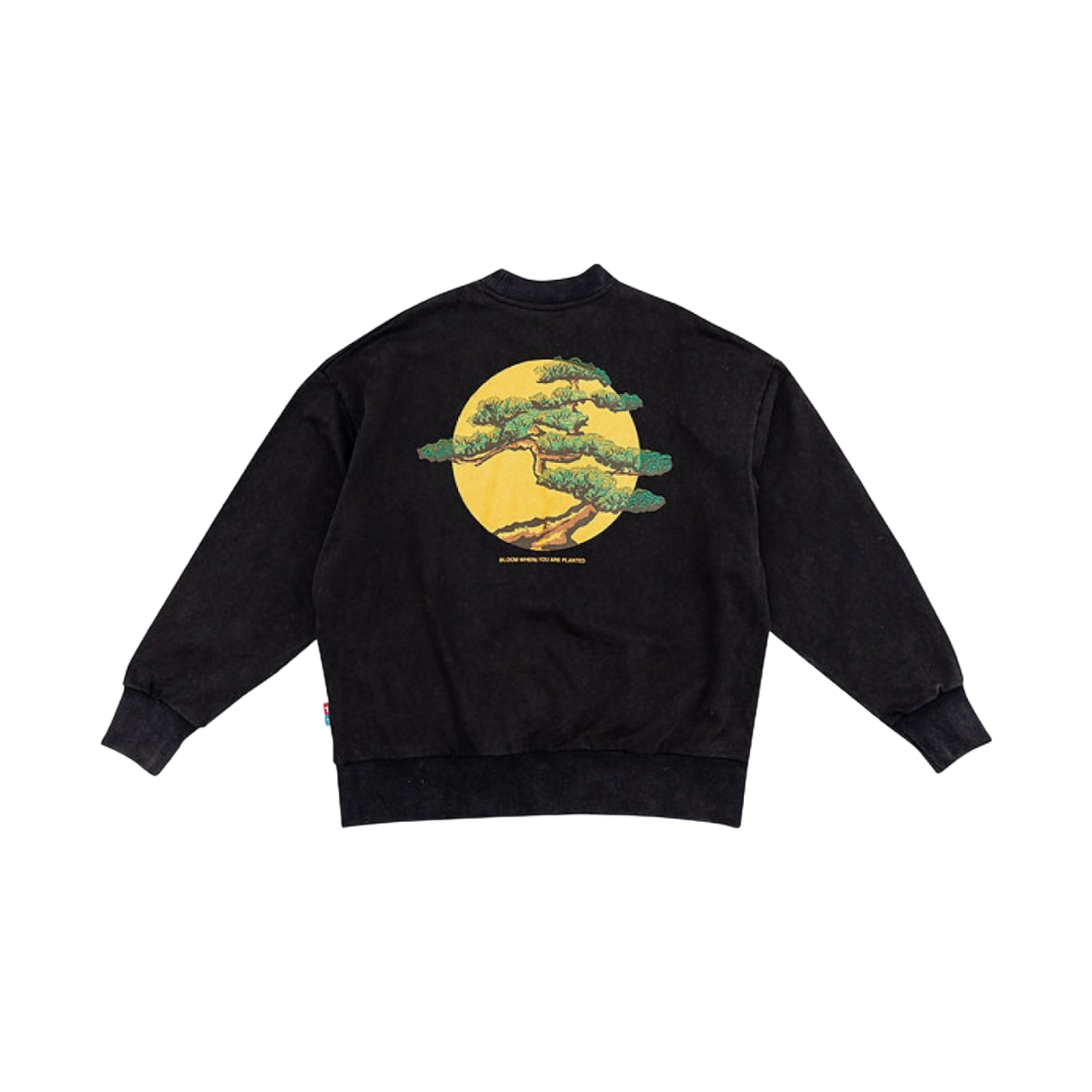 반디 더 핑크 본사이 크루넥 블랙(Vandy The Pink Bonsai Crewneck Black) - 1