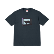 Supreme x Damien Hirst T-Shirt Navy - 25SS