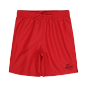 Nike Swim Essential Lap 7 Inch Volley Shorts Red