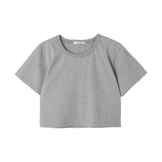 P0000BTR Tannat T/T Embroidery Crop T-Shirt Gray