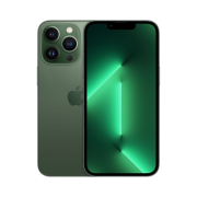 Apple iPhone 13 Pro 256GB Alpine Green (Korean Ver.)