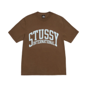 Stussy International Pigment Dyed T-Shirt Brown
