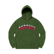 Supreme Icy Arc Hooded Sweatshirt Green - 20FW