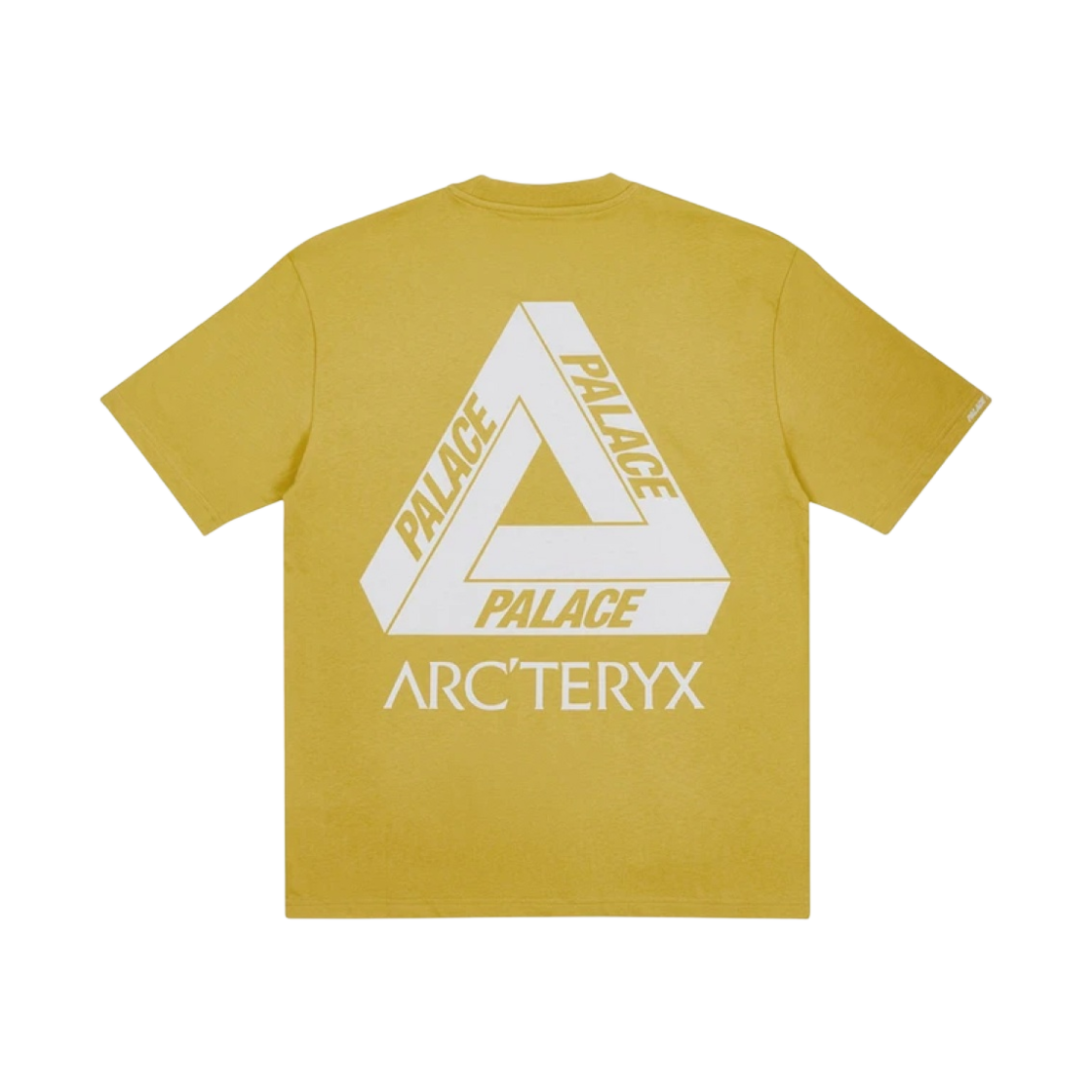 팔라스 x 아크테릭스 티셔츠 골드 - 20FW
