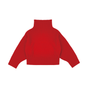 STU Women Turtleneck Knit Red