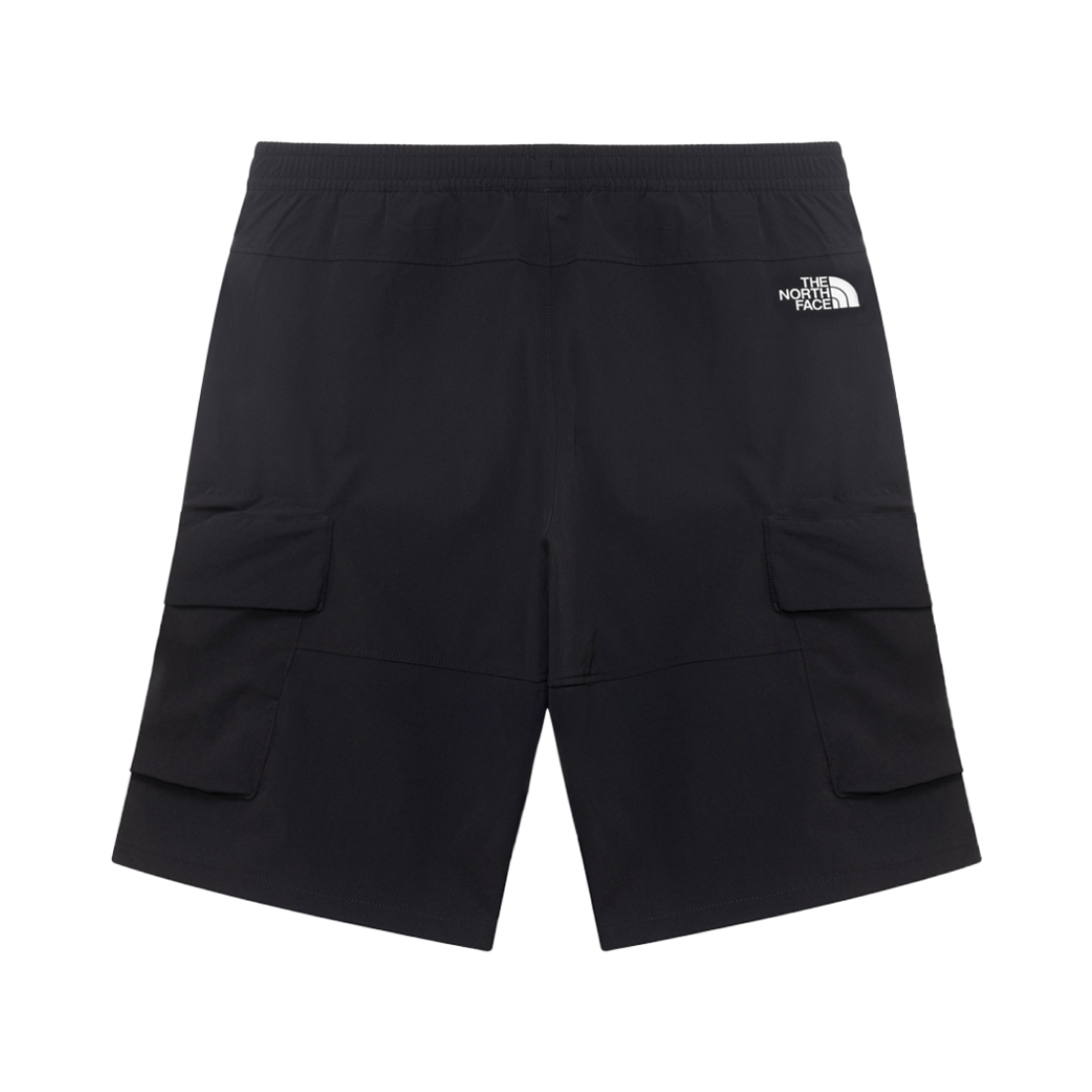 노스페이스 화이트 라벨 아이스 런 카고 쇼츠 블랙(The North Face White Label Ice Run Cargo Shorts Black) - 2