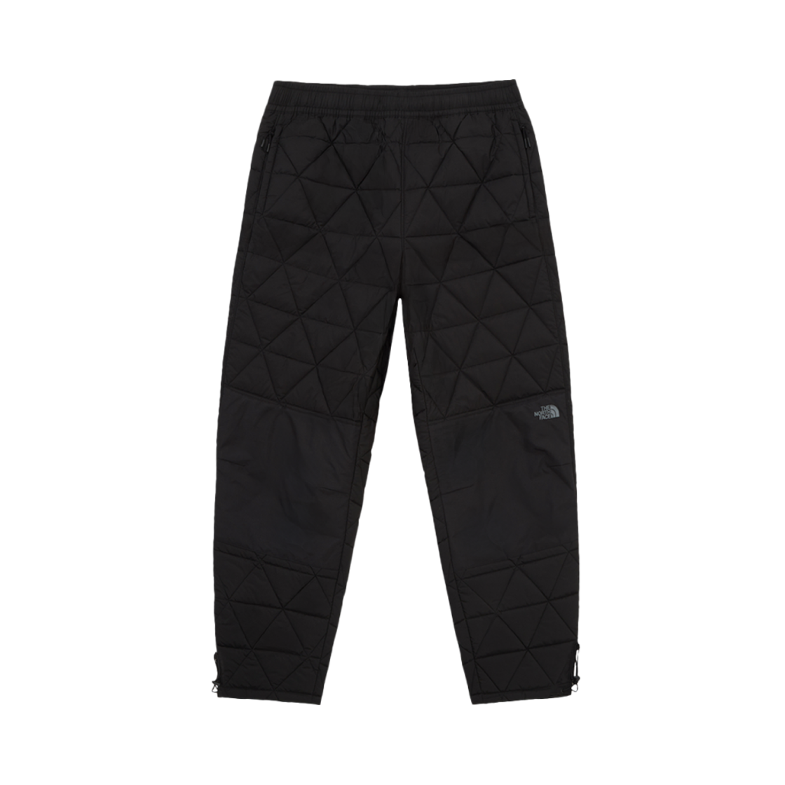 NP6NQ55A The North Face Geodome V Pants Black