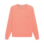 Essentials Crewneck Sweatshirt Coral - 22FW
