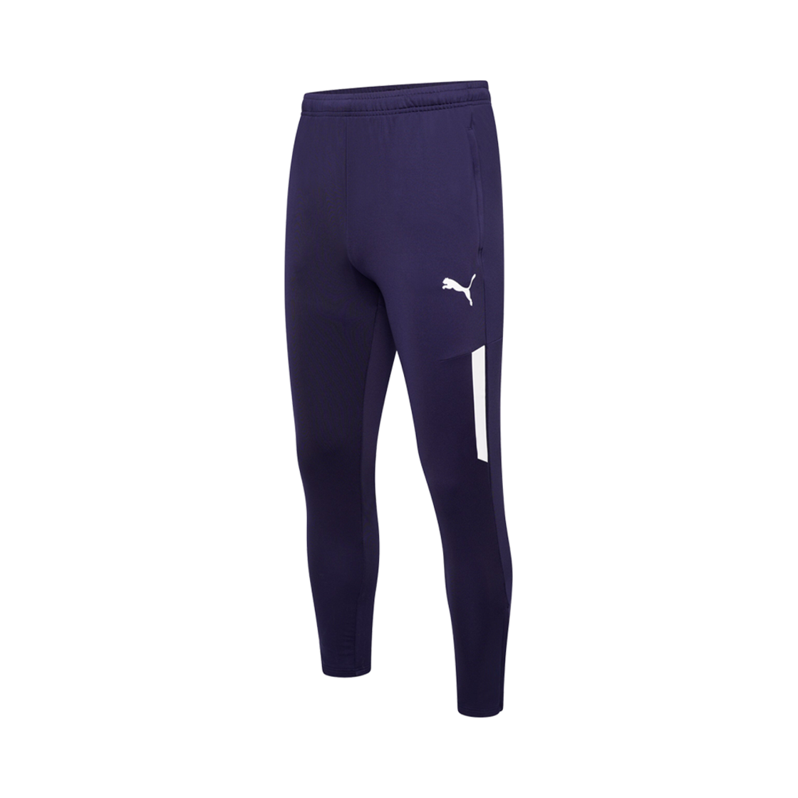 657332-06 Puma Team Liga Pro Training Football Pants Peacoat