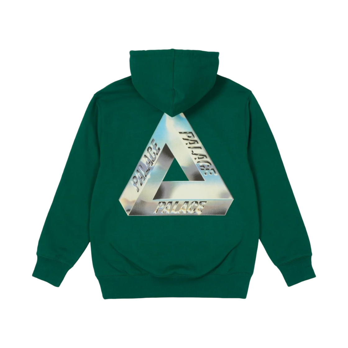 팔라스 트라이크롬 후드 그린 - 21SS