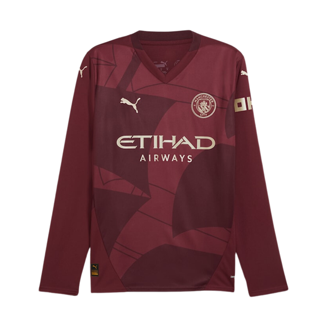푸마 맨체스터 시티 24/25 써드 롱슬리브 저지 다크 재스퍼 (논 마킹 버전)(Puma Manchester City 24/25 Third Long Sleeve Jersey Dark Jasper (Non Marking Ver.)) - 1