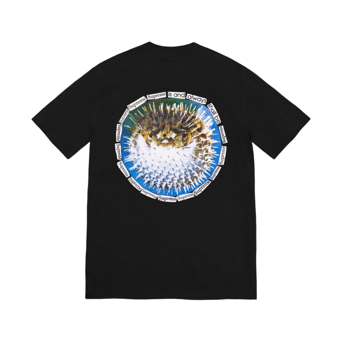 슈프림 블로우피쉬 티셔츠 블랙 - 23SS