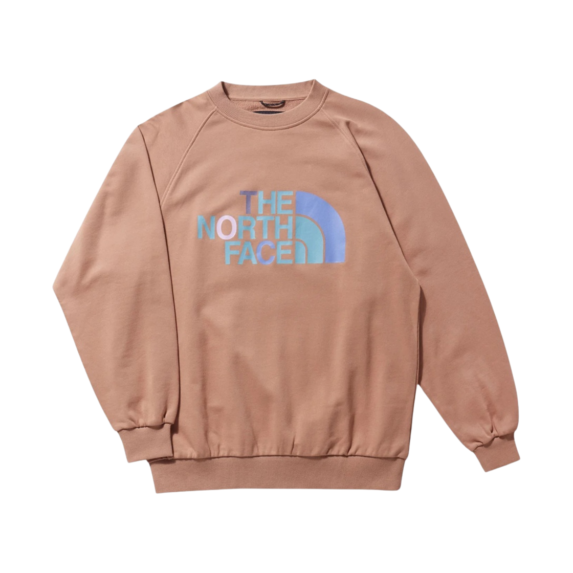 노스페이스 x 클랏 그래픽 크루넥 브라운(The North Face x Clot Graphic Crew Brown) - 1