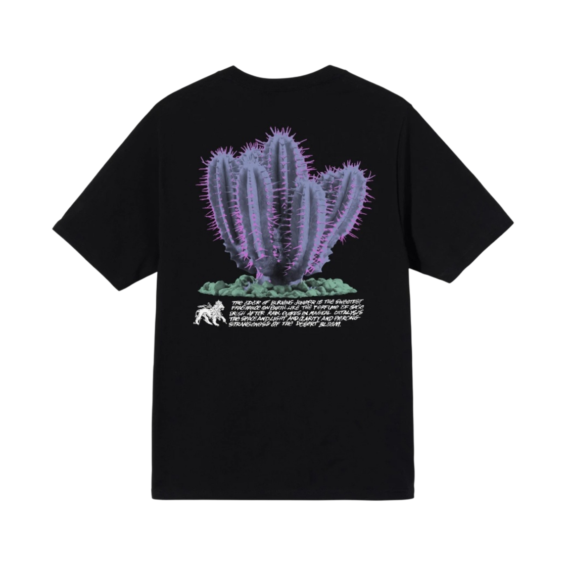 스투시 데저트 블룸 티셔츠 블랙