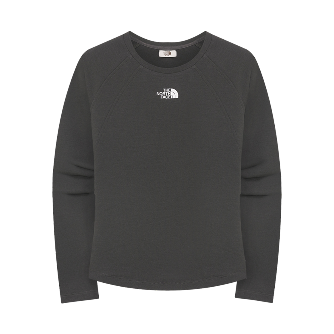 NT7TR30L (W) The North Face Delphie L/S Round T-Shirt Dark Gray - 25SS