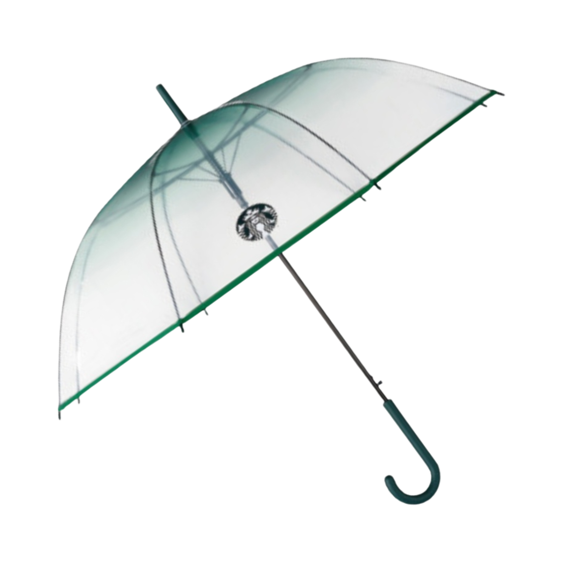 스타벅스 레이니 데이 투명 우산 그린(Starbucks Rainy Day Transparent Umbrella Green) - 2