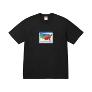Supreme Weather T-Shirt Black - 23FW
