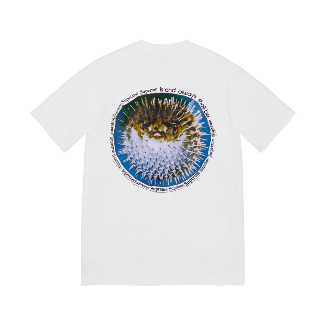 슈프림 블로우피쉬 티셔츠 화이트 - 23SS