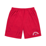 Supreme x Champion Mesh Short Red - 24SS