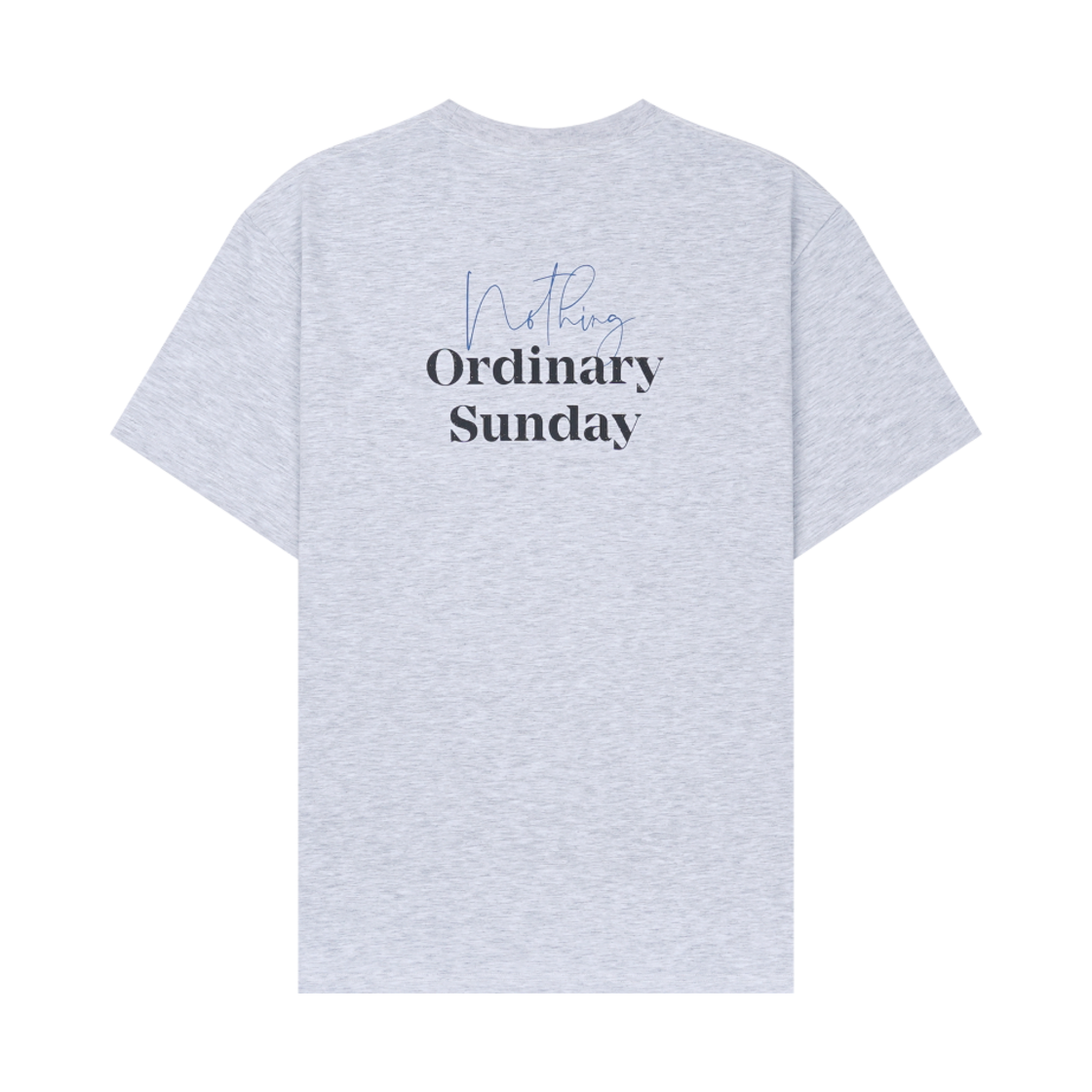 NOS7 블루 블랙 백 포인트 로고 박스 핏 티셔츠 그레이(NOS7 Blue Black Back Point Logo Box Fit T-Shirt Grey)