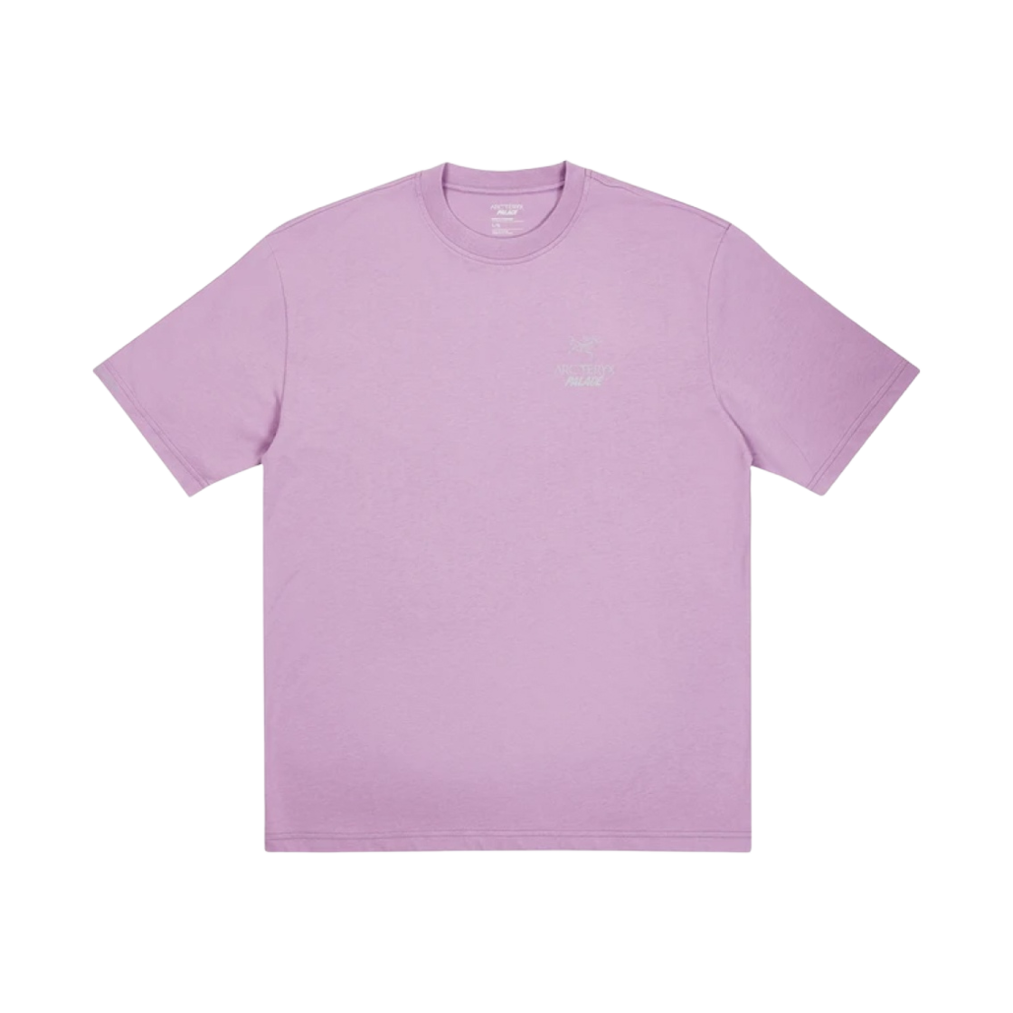 팔라스 x 아크테릭스 티셔츠 헤이즈 - 20FW(Palace x Arc'teryx T-Shirt Haze - 20FW) - 2