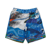 Supreme Ronin Silk Shorts Blue - 23SS