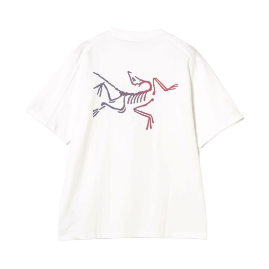8464 Arc'teryx Kragg Cotton Logo SS T-Shirt White Light Multi