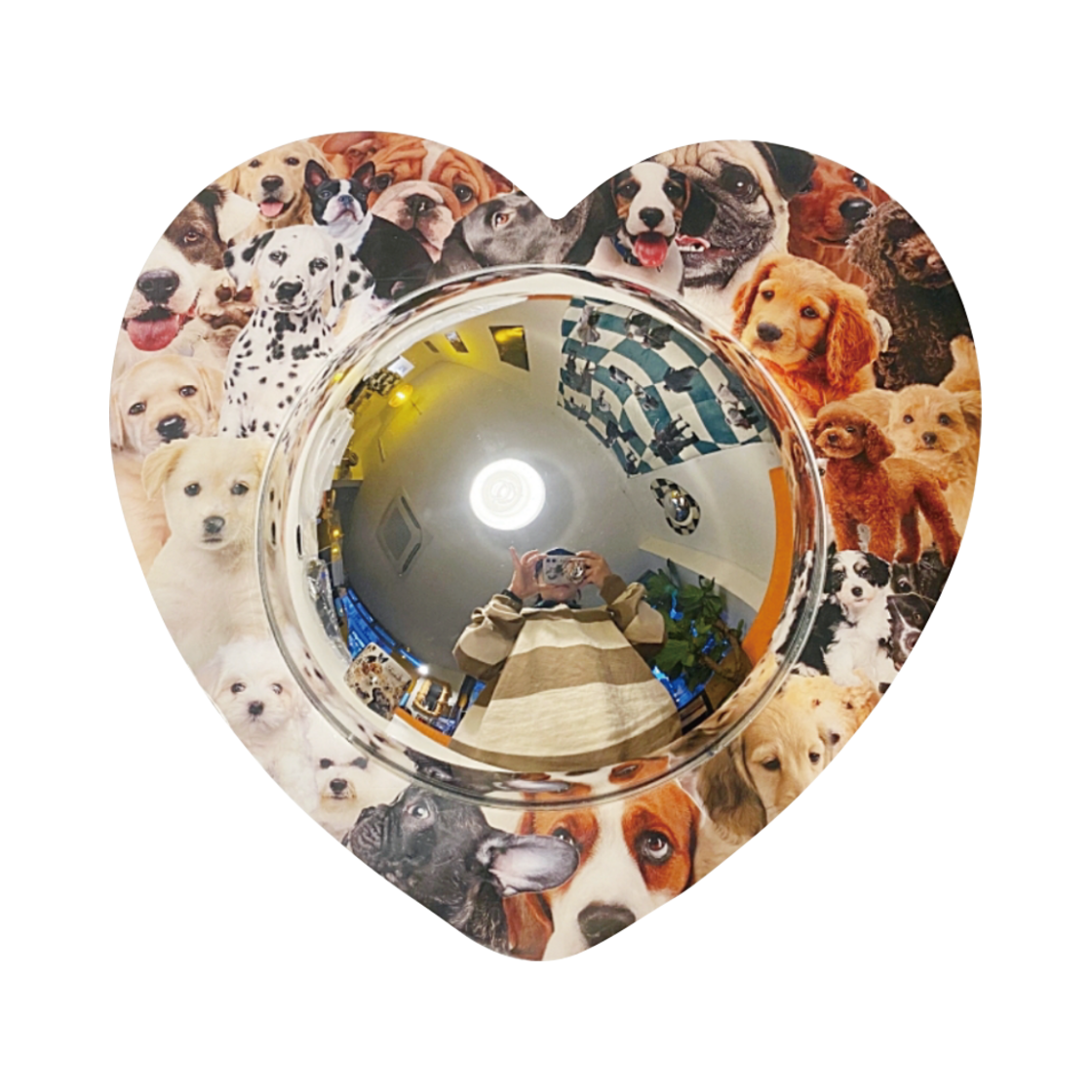 유라이크왓 러브퍼피 아크릴 볼록거울([3% 포인트 적립] you like what Love Puppy Acrylic Convex Mirror)