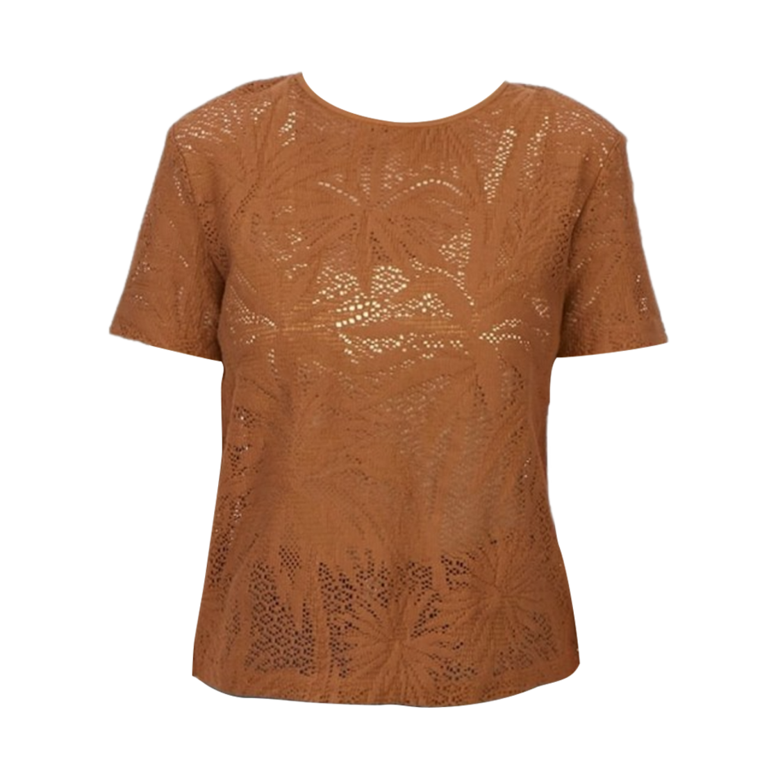 LETTERA-004 (W) Max Mara Studio Lettera Lace T-Shirt Brown