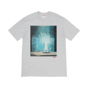 Supreme Fuck T-Shirt Heather Grey - 21SS