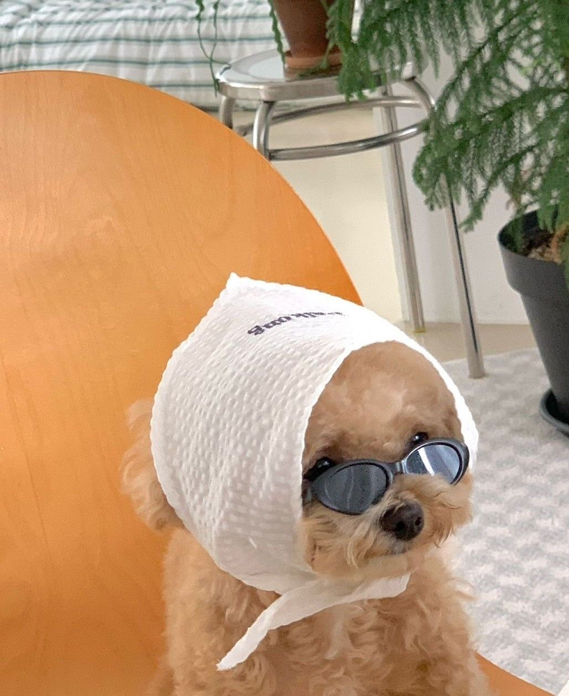 관심 유저 프로필 이미지