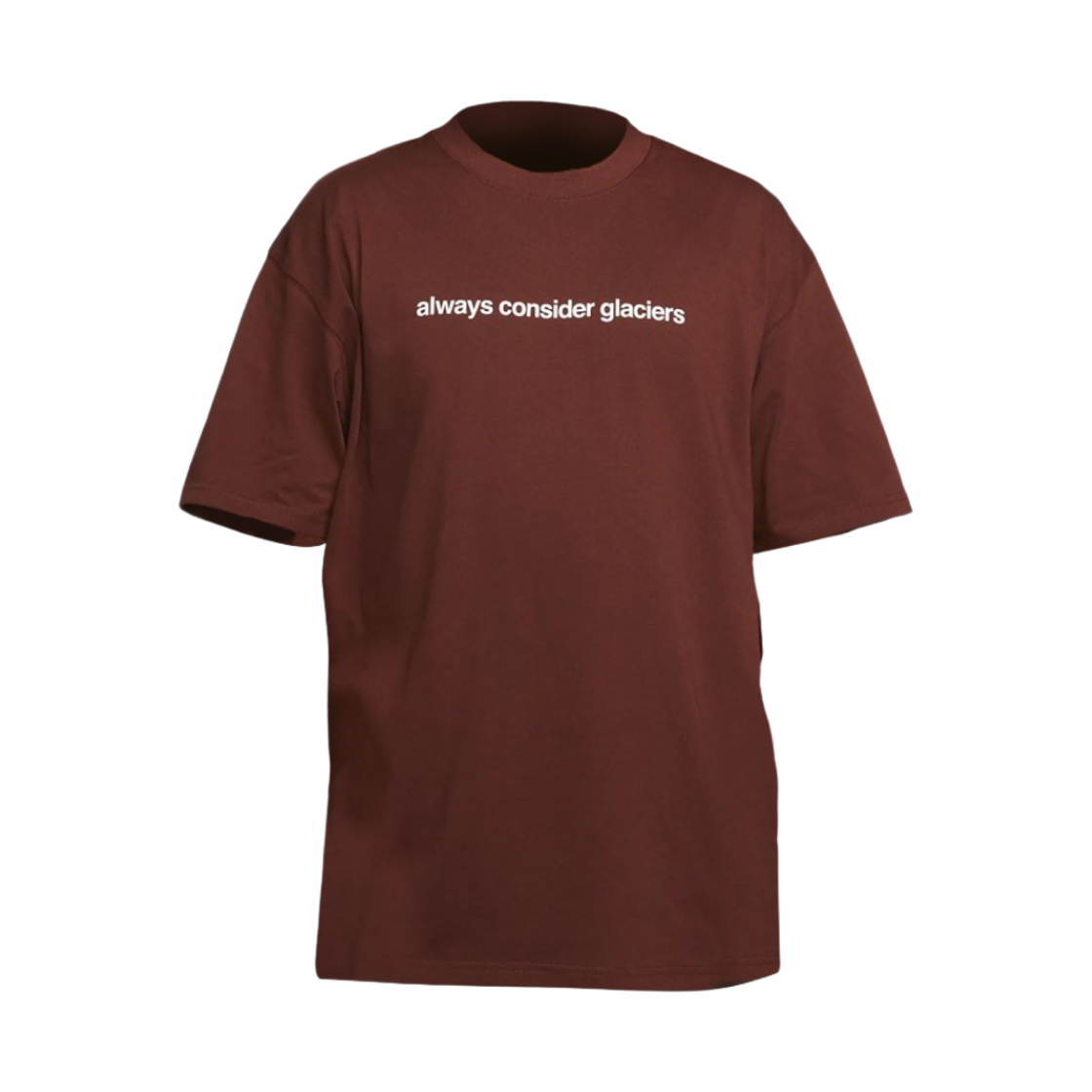 나이키 ACG 올웨이즈 컨시더 티셔츠 옥슨 브라운 - US/EU(Nike ACG Always Consider T-Shirt Oxen Brown - US/EU) - 2